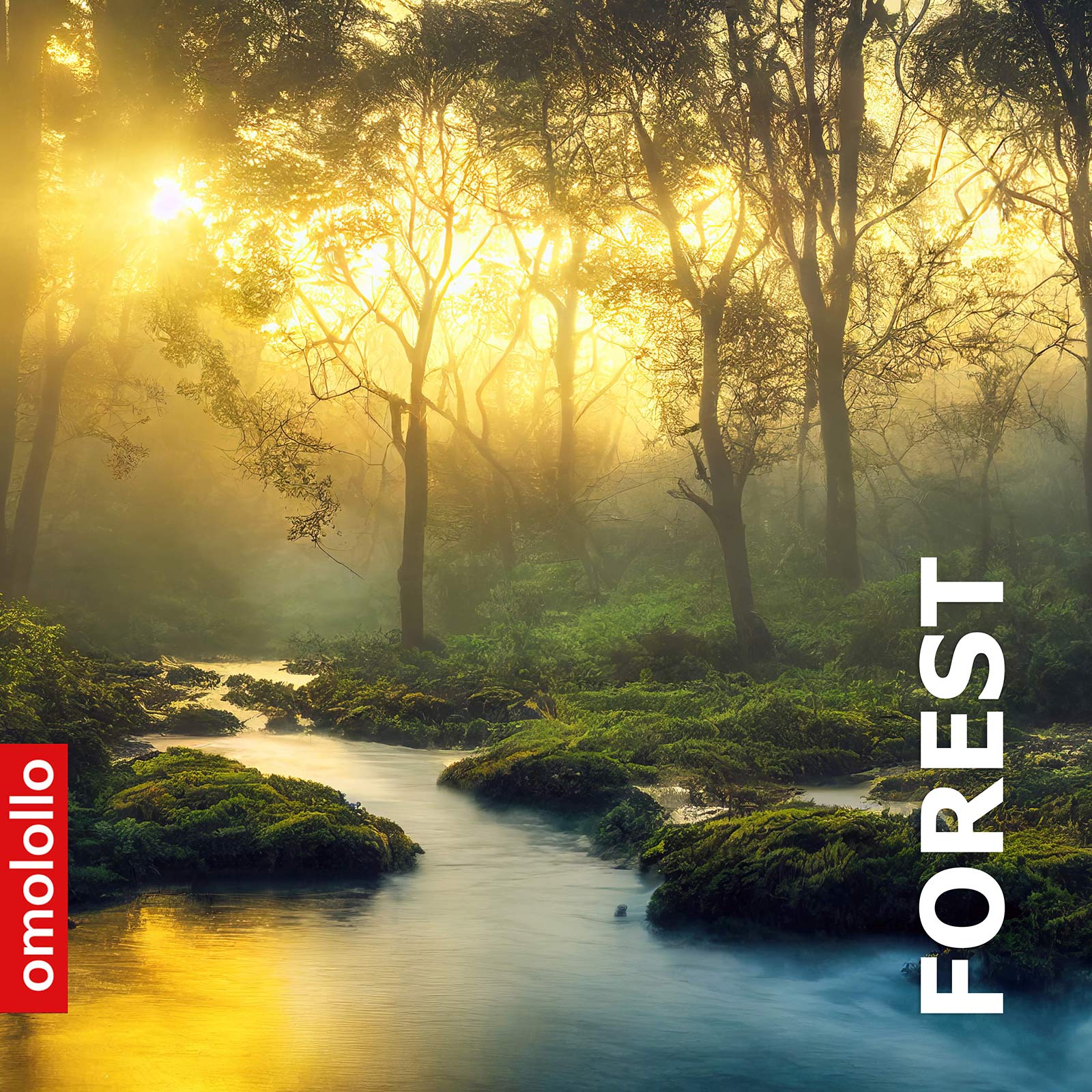 Forest – Meditations- und Entspannungsmusik (Download)