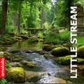 Little Stream in Forest (Download)