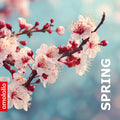 Spring – Geführte Frühlings-Meditation (Download)