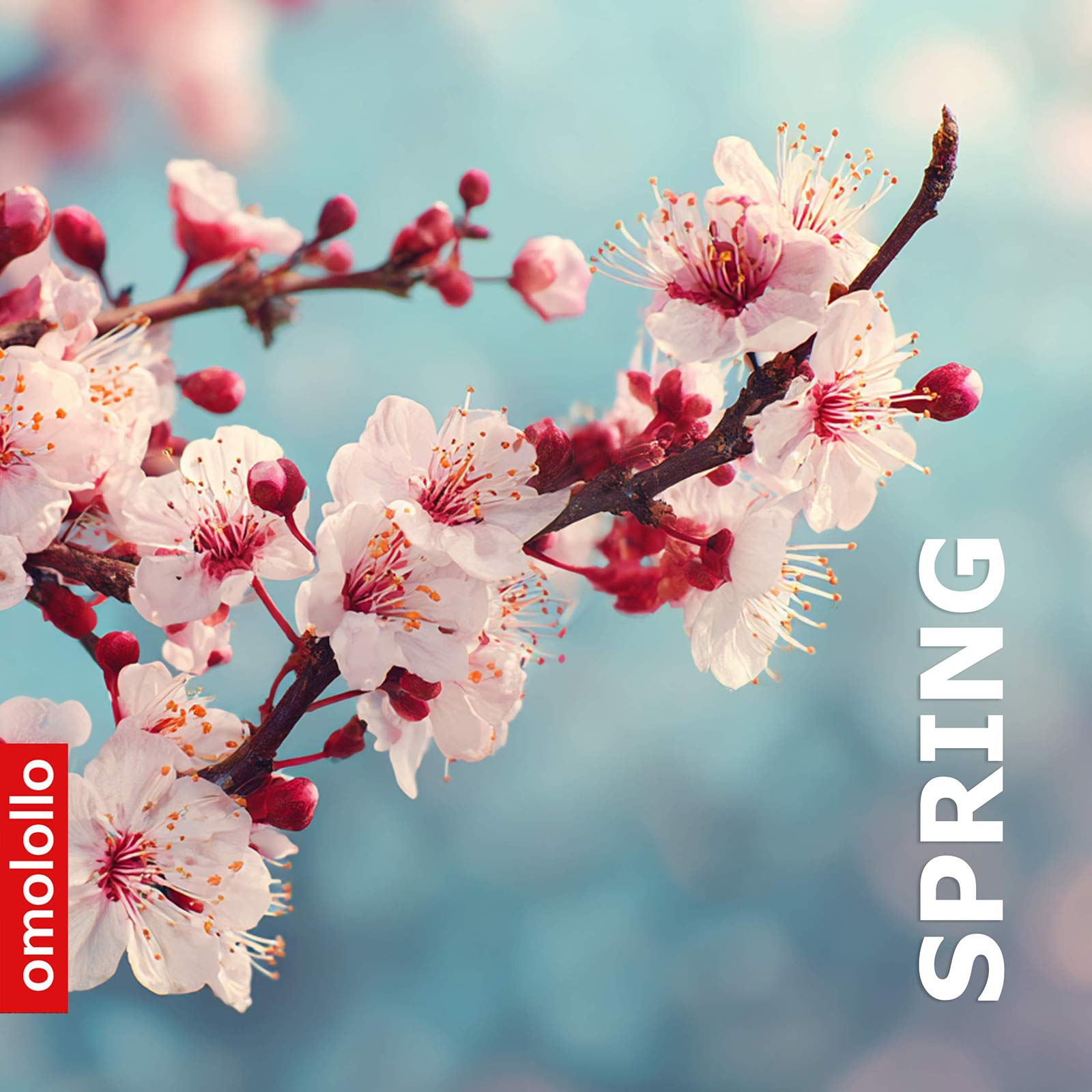Spring – Geführte Frühlings-Meditation (Download)